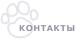Контакты