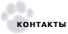 Контакты